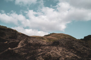 写真作品