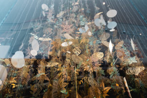 写真作品