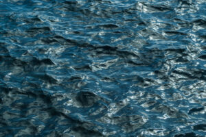 写真作品