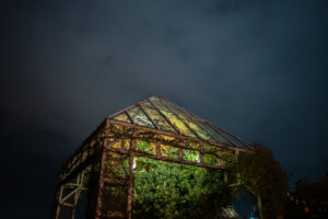 写真作品