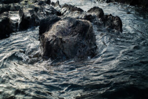 写真作品