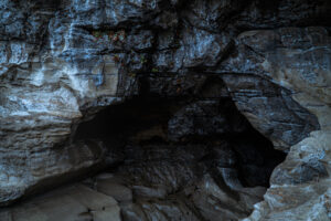 写真作品