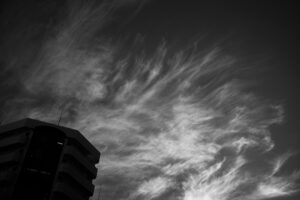 写真作品