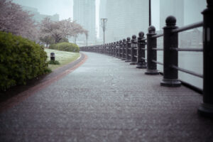 写真作品