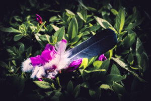 写真作品