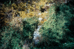 写真作品