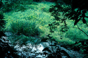 写真作品