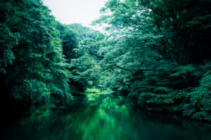 写真作品