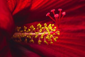 写真作品