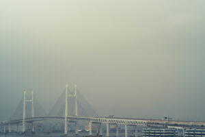 写真作品