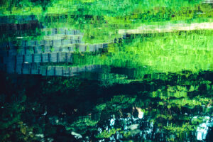 写真作品