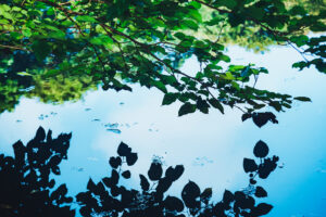 写真作品