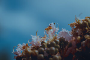 写真作品