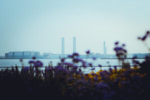 写真作品