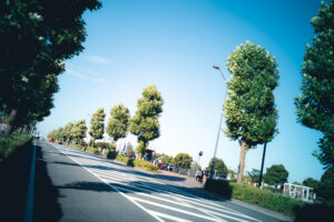 写真作品