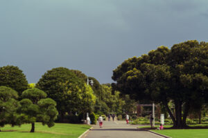 写真作品