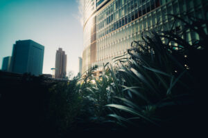 写真作品