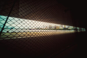 写真作品