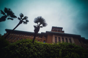 写真作品
