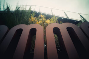 写真作品