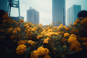 写真作品