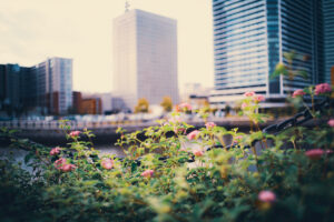写真作品