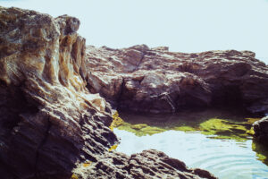 写真作品