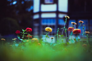写真作品