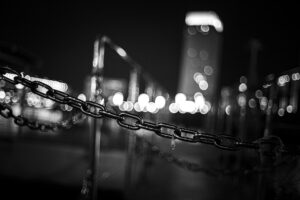 写真作品