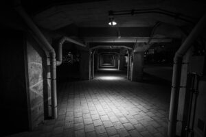 写真作品