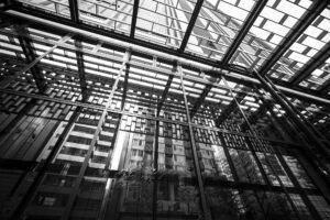 写真作品