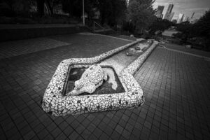 写真作品