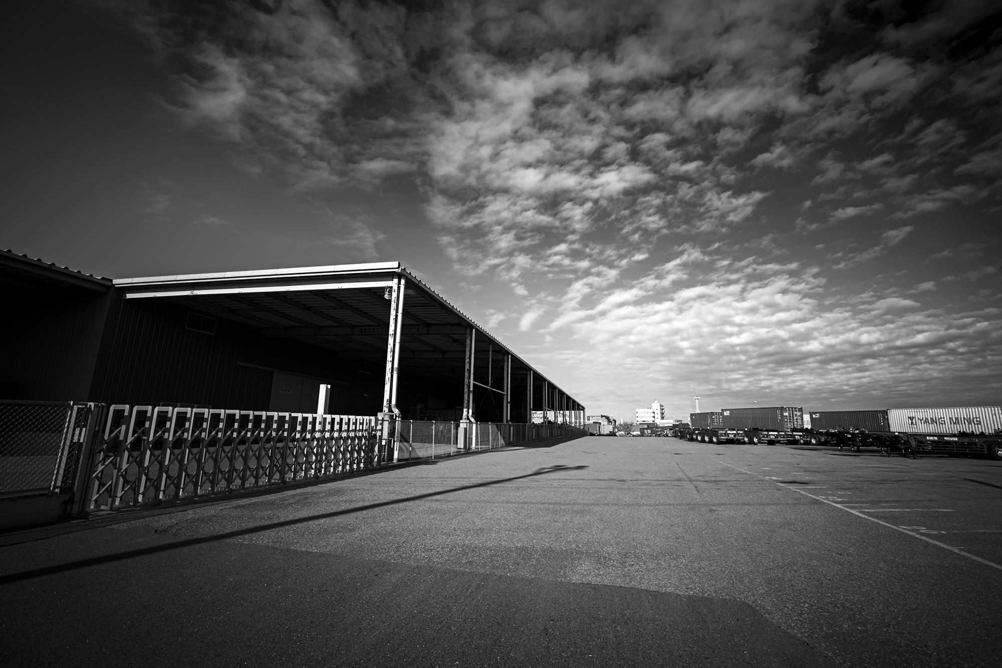 Voigtlander SUPER WIDE-HELIAR 15mm F4.5で撮影したモノクロ写真:12