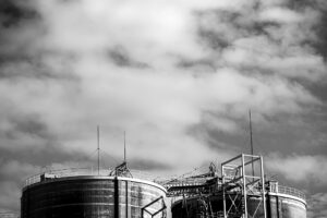 写真作品