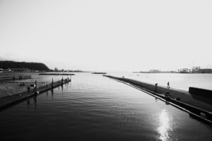 写真作品