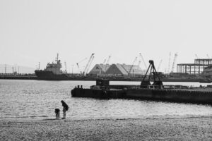 写真作品