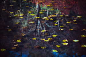 写真作品