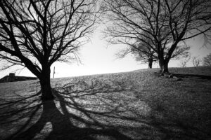 写真作品