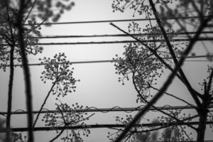 写真作品