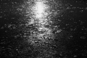 写真作品