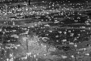 写真作品