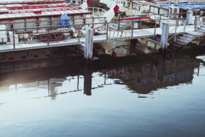 写真作品