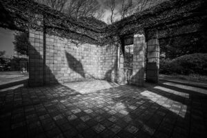 写真作品