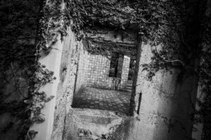 写真作品
