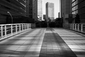 写真作品