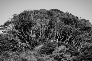 写真作品