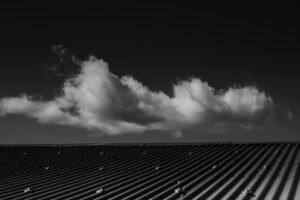 写真作品
