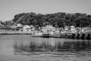 写真作品