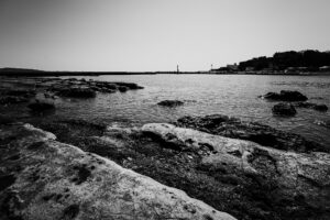 写真作品