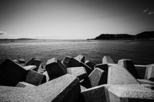 写真作品